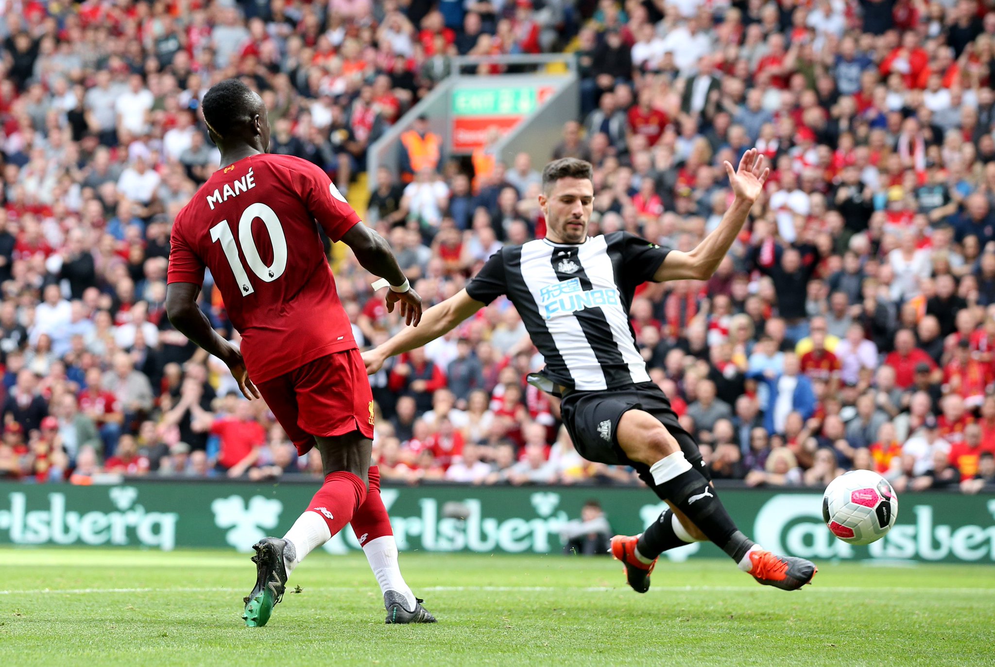 所有球员树 所有球员树